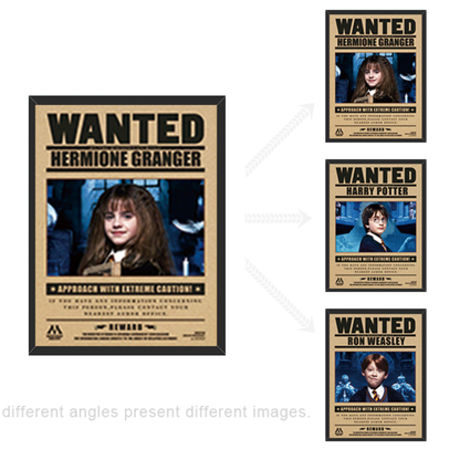 Wizarding 3D Frame